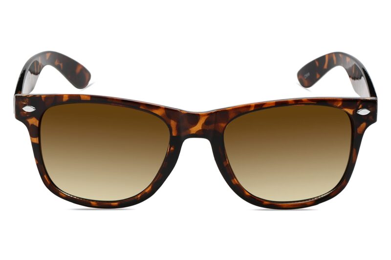 D263DMSD - Classic Tortoise Frame Sunglasses - Image 2