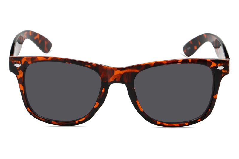 D263DMSD - Classic Tortoise Frame Sunglasses - Image 4