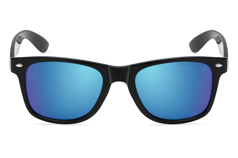 D263PRV - Classic Polarized Sunglasses - Image 2