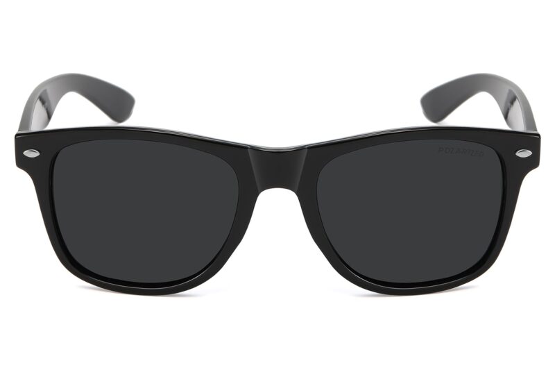 D263P - Classic Polarized Sunglasses - Image 2