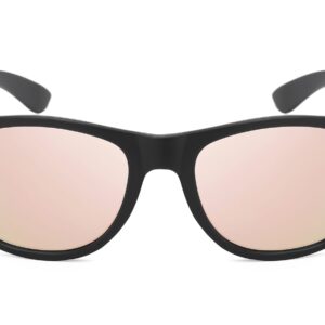 D263TRV - Classic Carbon Fiber Sunglasses - Image 4