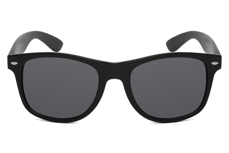 D263TSD - Classic Carbon Fiber Sunglasses - Image 2