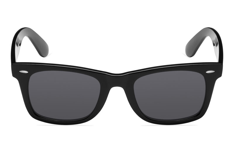 D264SD - Classic Chic Smoke Sunglasses - Image 2