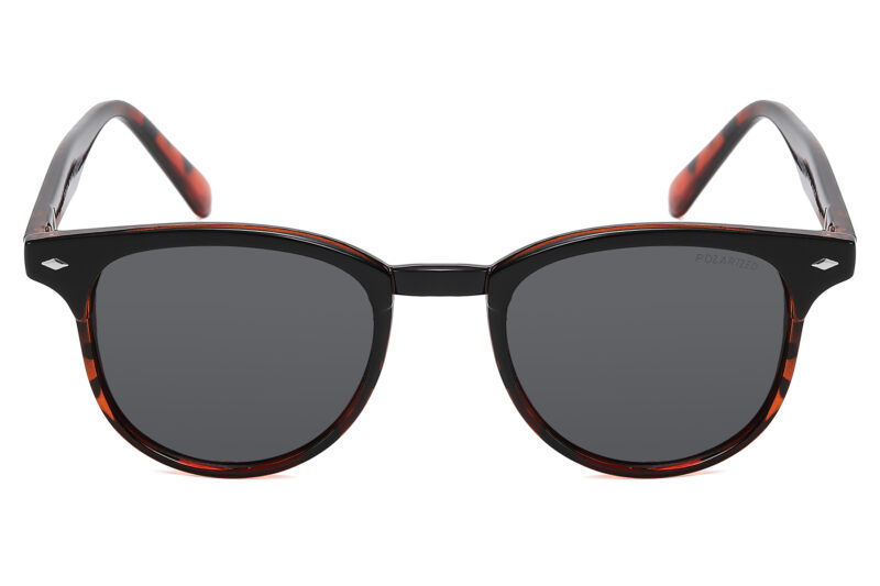 D586P - Classic Chic Polarized Sunglasses - Image 2