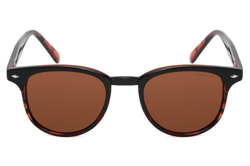 D586P - Classic Chic Polarized Sunglasses - Image 4