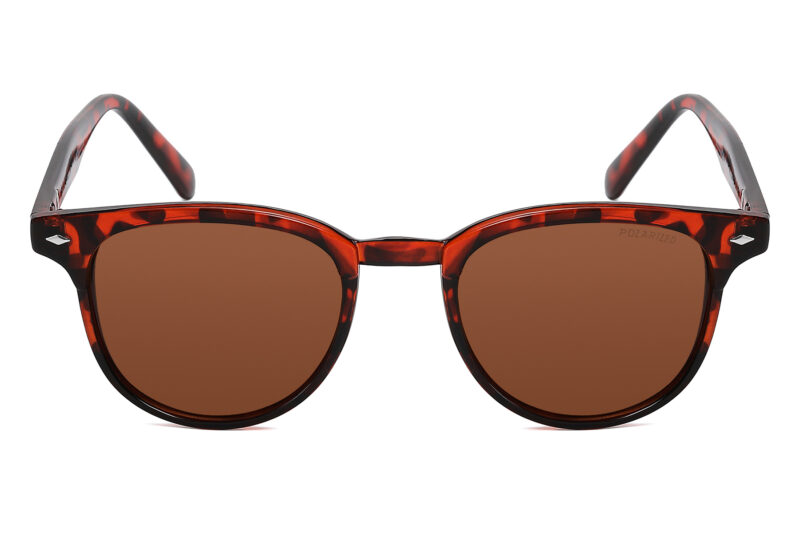 D586P - Classic Chic Polarized Sunglasses - Image 6