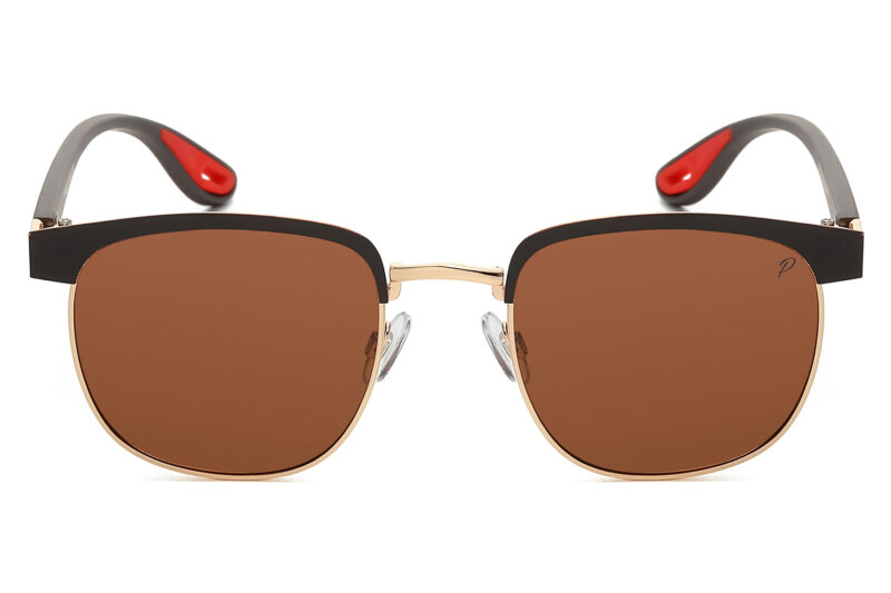 D699P - Classic Polarized Sunglasses - Image 4