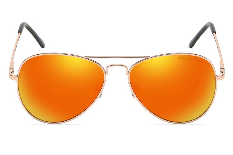 P450PRV - Polarized Aviator Sunglasses - Image 2