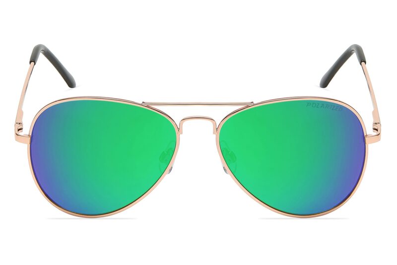 P450PRV - Polarized Aviator Sunglasses - Image 8