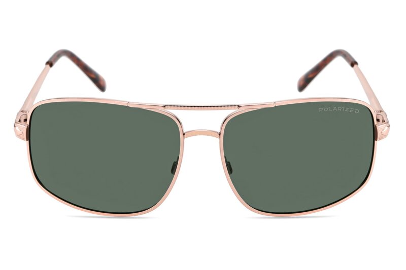 P460P - Polarized Aviator Sunglasses - Image 2